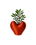 Heart Planter